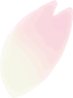 Cherry Blossom Petal - nature - Transparent Layer PNG