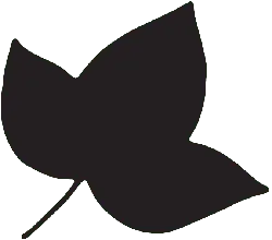 Clover - Transparent Background PNG - nature
