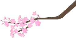 Cherry Blossom Branch - flower - PNG