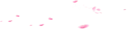 Pink Petals Falling - falling - Popular Download PNG