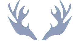 Deer Antlers - gray - High Resolution PNG