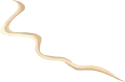 Curve - design - High Resolution PNG