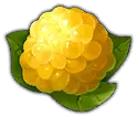 Nectarine - juicy - Transparent Layer PNG