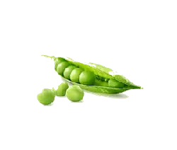 Pea Pod - food - fresh - Free Download PNG