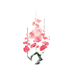 Plum Blossom - traditional - flower - Lossless PNG
