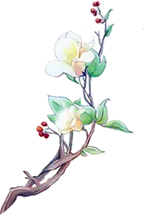 Flower Branch - flowers - High Resolution PNG