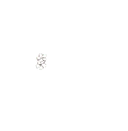 White Flower - beautiful - Highly Rated PNG