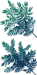 Green Leaves - plant - decoration - Lossless PNG