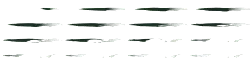 Dolphin - jumping - aquatic animal - Transparent Background PNG