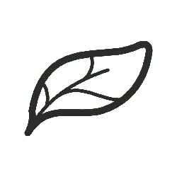Leaf - environmental protection - PNG Images