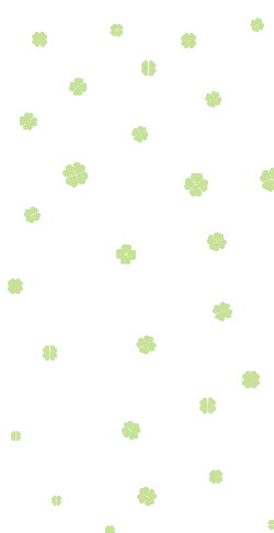 Clover - lucky - Curated PNG