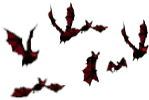 Red Flowers - nature - Transparent Layer PNG