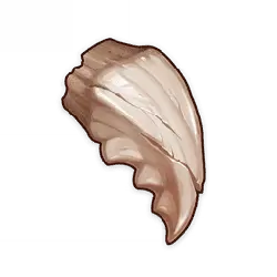 Shell - organic shape - No Watermark PNG
