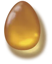Amber Egg - nature - Lossless PNG