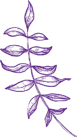 Wisteria Leaf - purple - High Resolution PNG