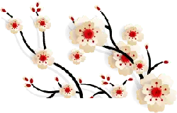 Cherry Blossom - Designer Recommended PNG - High Download Count PNG