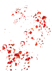 Red Flowers - nature - Transparent Background PNG
