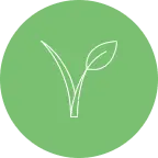 Green Plant Icon - sustainable - PNG Images
