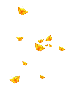 Flying Gold Coins - gold coins - No Watermark PNG