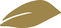 Leaf - environmental protection - Popular Download PNG