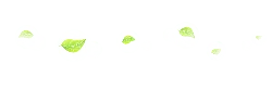 Leaf in Bubble - leaf - Free PNG