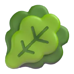 Lettuce - Designer Recommended PNG