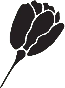 Rose - romance - PNG