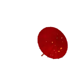 Red Paper Umbrella - paper - Transparent Background PNG