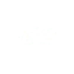 Moon Cat - small animal - No Watermark PNG
