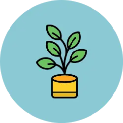 Potted Plant - ecology - PNG Images
