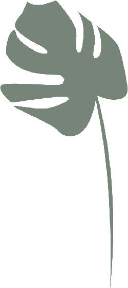 Banana Leaf - minimalistic - No Watermark PNG
