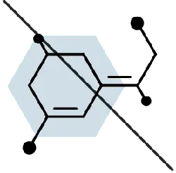Hexagon Logo - Free PNG