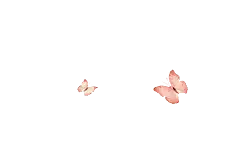 Butterfly - color - Designer's Pick PNG
