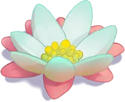 Lotus Flower - pink - lotus - No Background PNG
