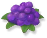 Grapes - Transparent Layer PNG - fruit