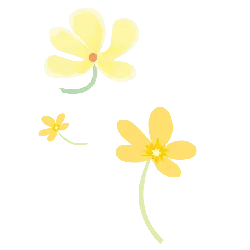 Yellow Flowers - cartoon - No Background PNG