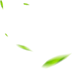 Green Light Spot - Free PNG