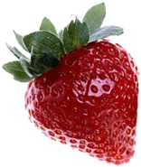 fruit - Free for Commercial Use PNG - Strawberry
