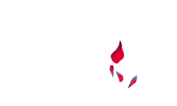 Abstract Artwork - Lossless PNG - shapes