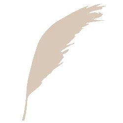 Feather - artistic - Popular Download PNG
