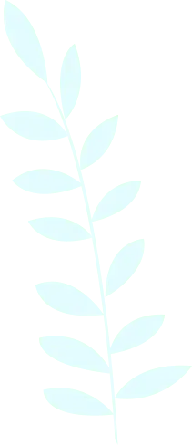 Laurel Leaf - nature - Transparent Background PNG