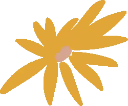 Sunflower - Highly Rated PNG - sunlight
