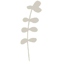 Abstract Plant Stem - minimalistic - Free PNG