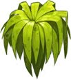 Green Plant - leaves - nature - PNG Images