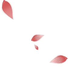 Red Petals - petal - Popular Download PNG