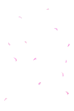 Pink Petals - Trending PNG - nature