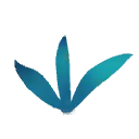 Three-leaved plant - growth - Free PNG
