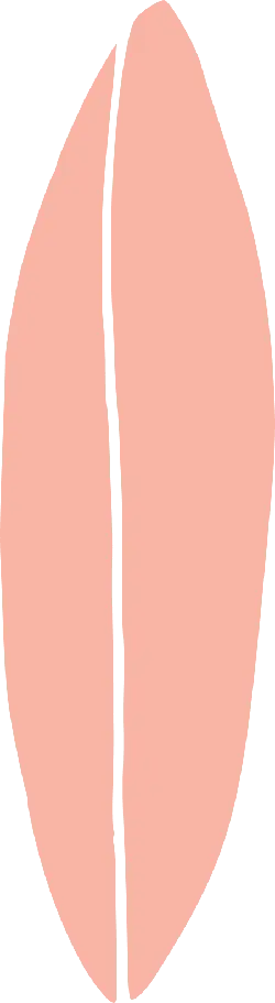 Peach - juicy - circular - Free Download PNG