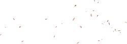 Pink Petals Falling - PNG Images - decoration