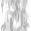 Zebra - black and white - High Resolution PNG